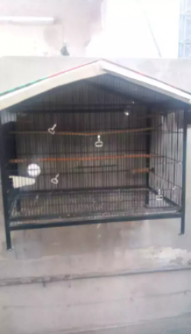 Parrot Cage